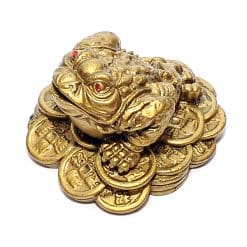 Broasca norocoasa pe monede, remediu Feng Shui pentru bani, bunastare si prosperitate