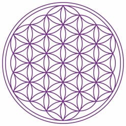 8091 Abtibild cu Floarea Vietii , Simbolul vietii - Violet mare