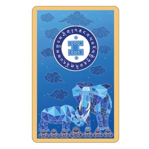 8501 Card de protectie cu elefant si rinocer 2023 (3)