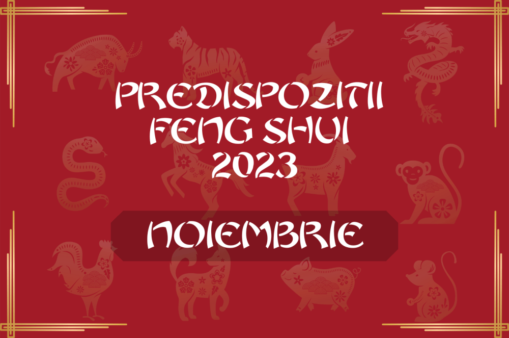 predispozitii feng shui luna noiembrie 2023